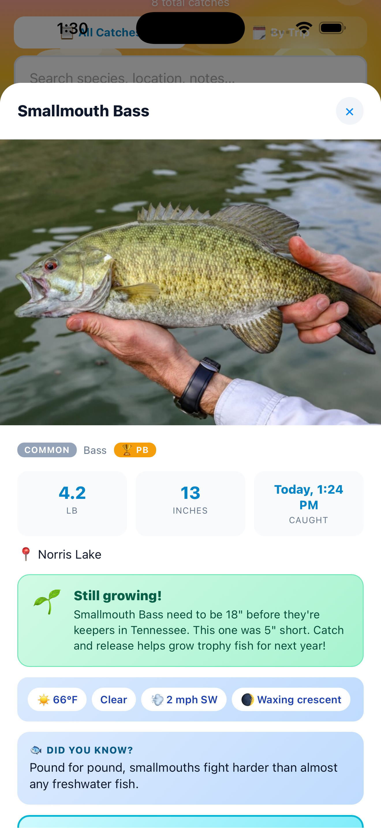 Catch detail with photo, species info, weather card, and regulations
