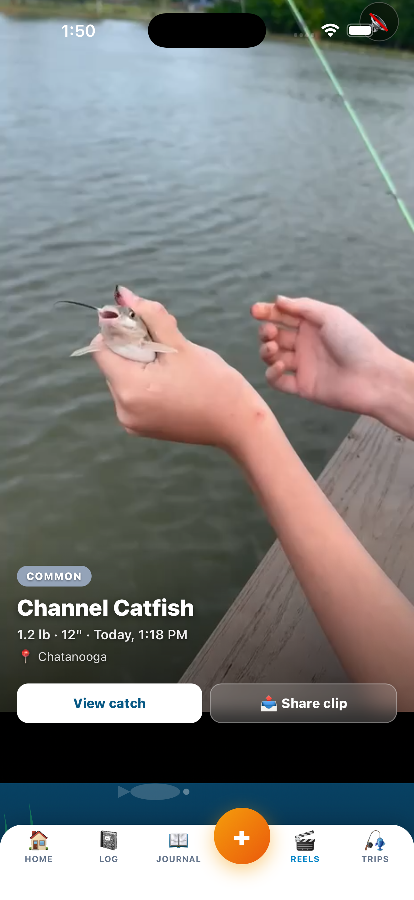 Highlight Reels vertical scroll of catch clips